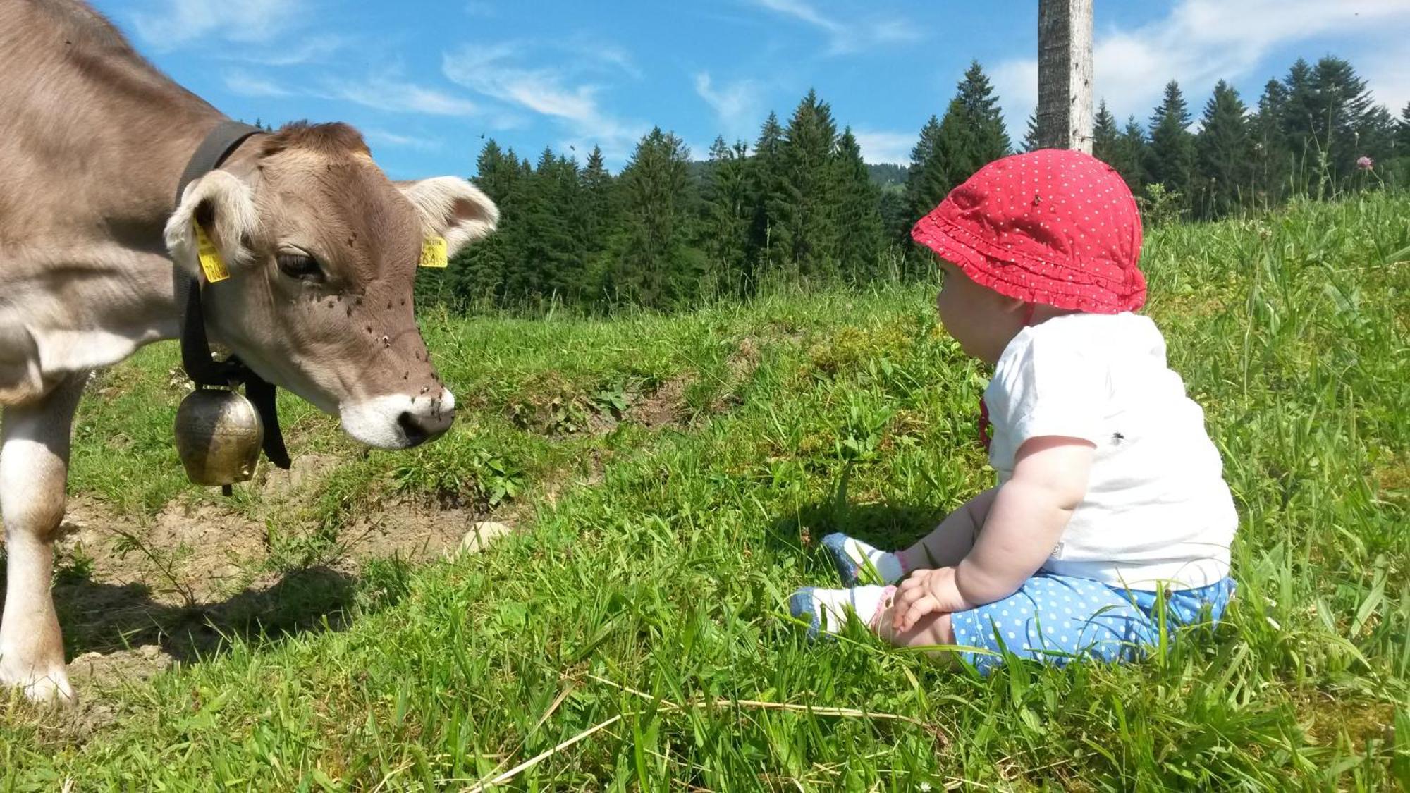 Ferienhof Duerlinde Hittisau Buitenkant foto