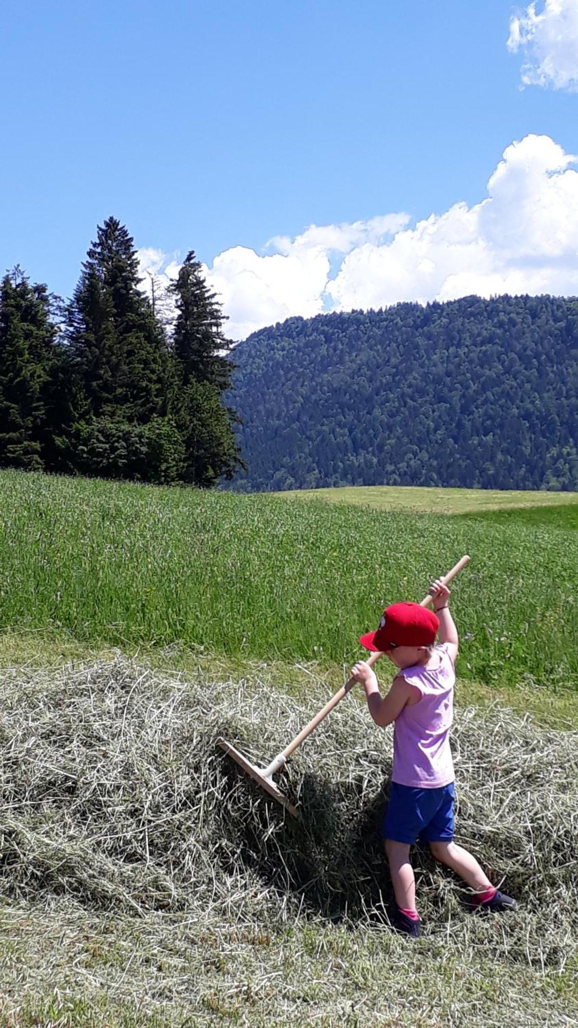 Ferienhof Duerlinde Hittisau Buitenkant foto