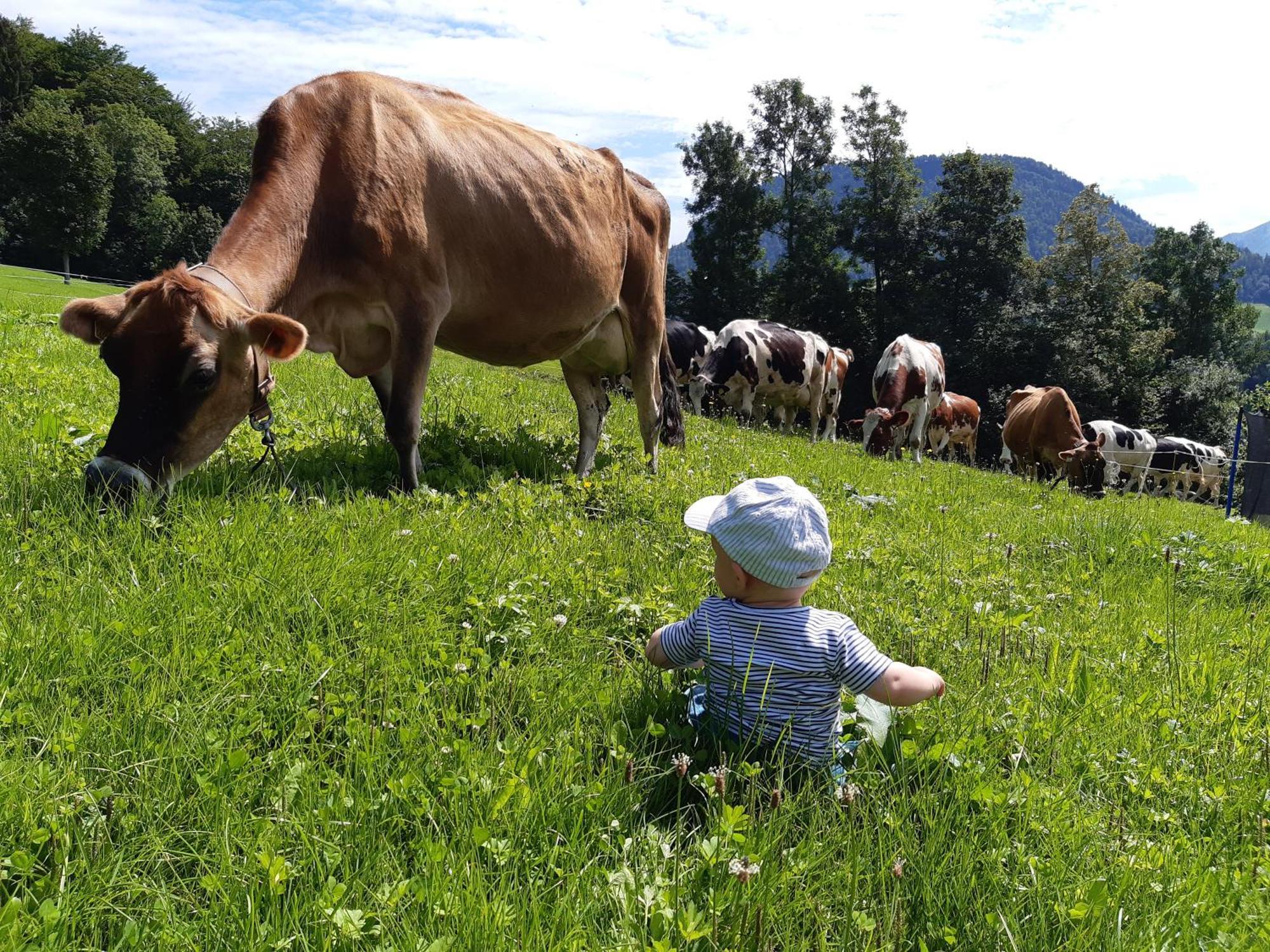 Ferienhof Duerlinde Hittisau Buitenkant foto