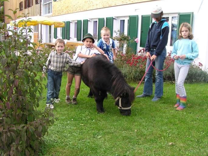 Ferienhof Duerlinde Hittisau Buitenkant foto