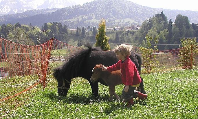 Ferienhof Duerlinde Hittisau Buitenkant foto