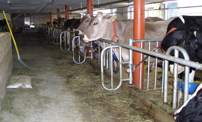 Ferienhof Duerlinde Hittisau Buitenkant foto
